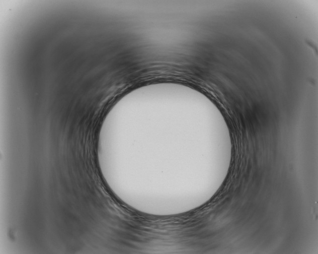 X0000097300423200802151127