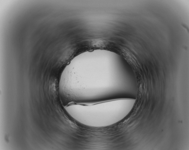 X0000097300424200802151127