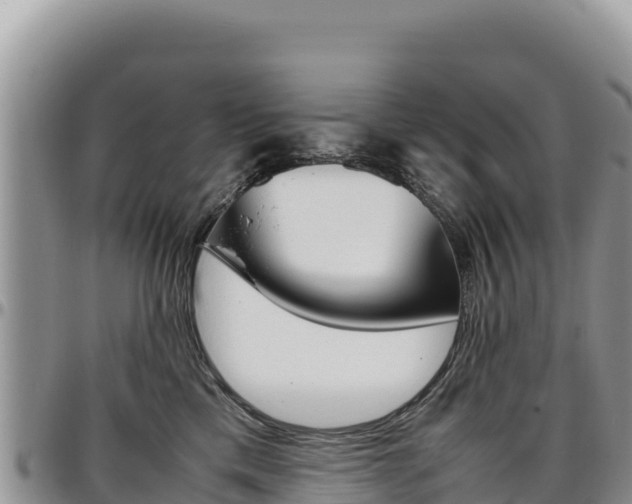 X0000097300425200802151127