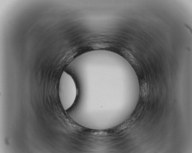 X0000097300426200802151127