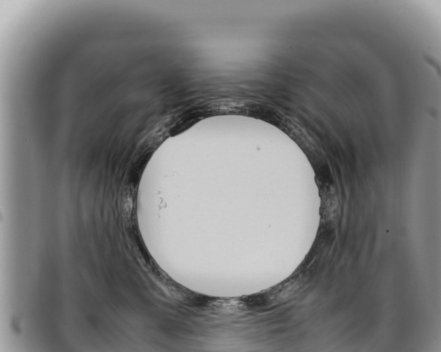 X0000097300427200802151127