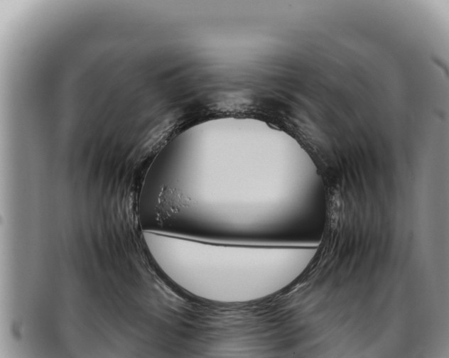 X0000097300428200802151127