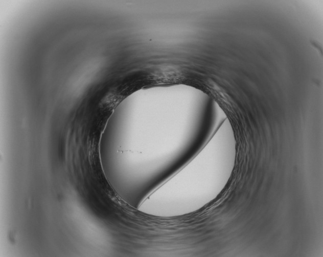 X0000097300429200802151127