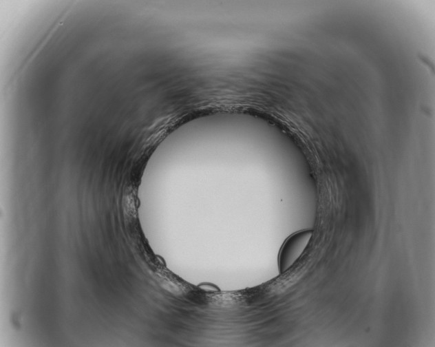 X0000097300432200802151126