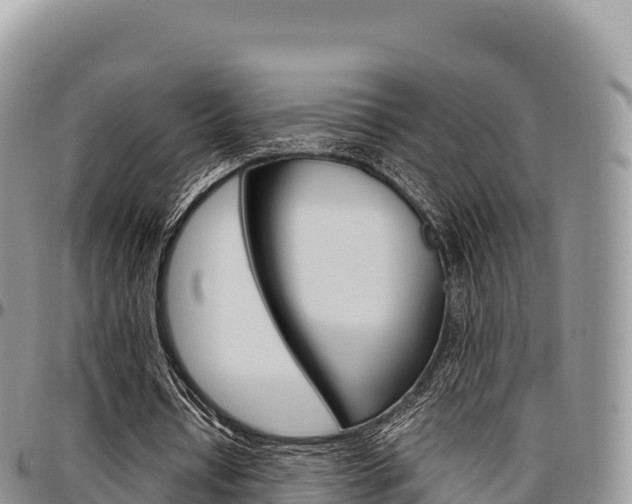 X0000097300434200802151126