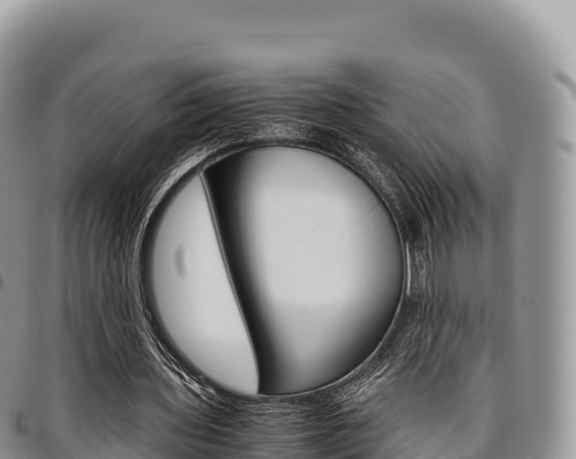 X0000097300435200802151126