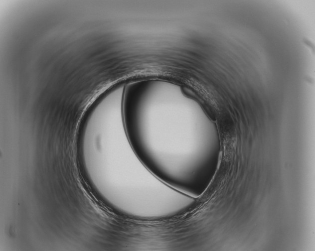 X0000097300436200802151126