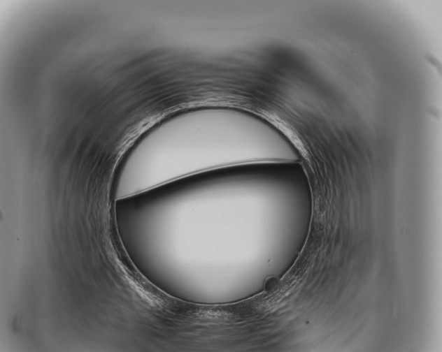 X0000097300437200802151126
