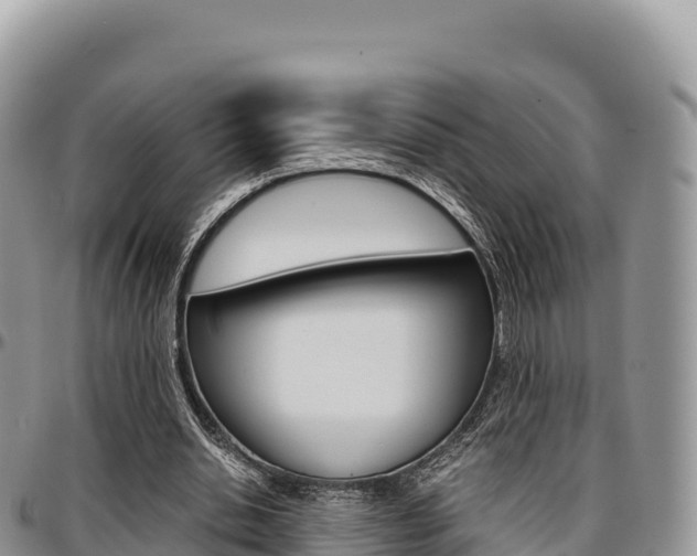 X0000097300438200802151126