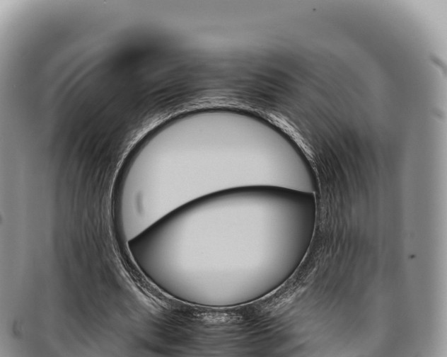 X0000097300439200802151126
