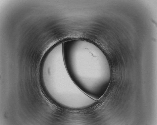 X0000097300440200802151126
