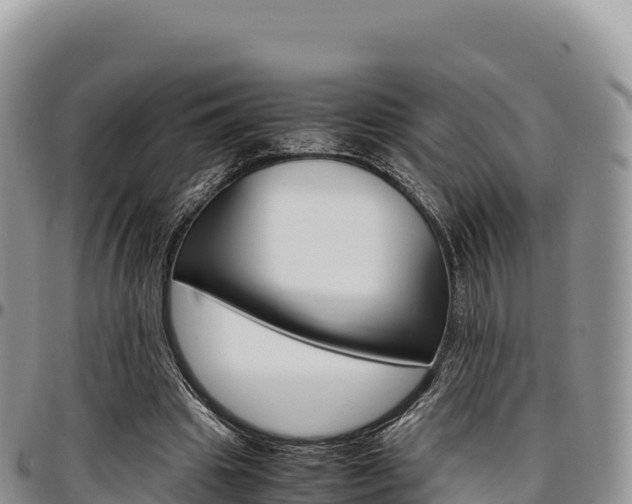 X0000097300441200802151126
