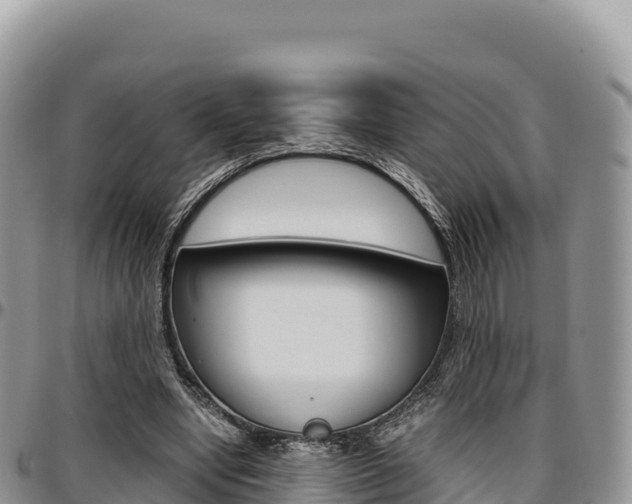 X0000097300442200802151126