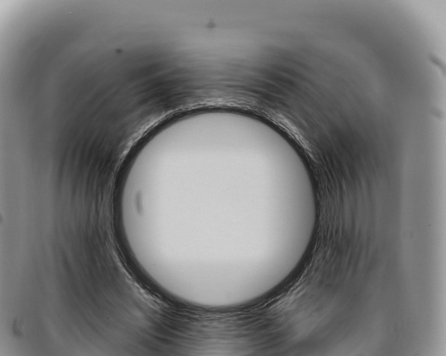 X0000097300444200802151126