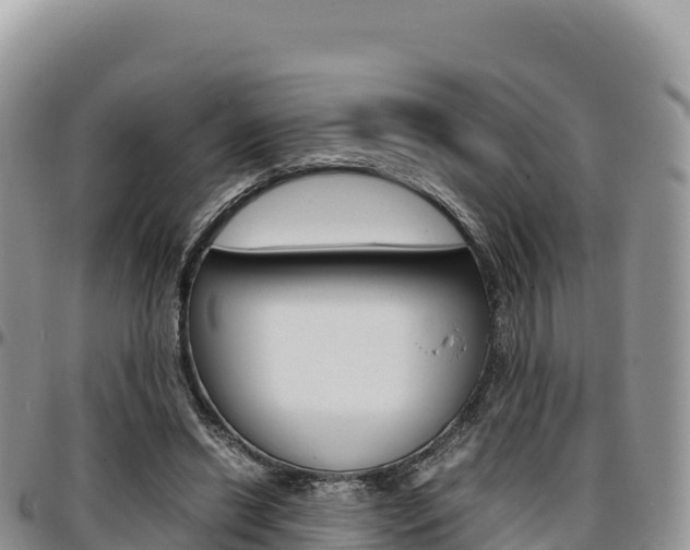 X0000097300446200802151126