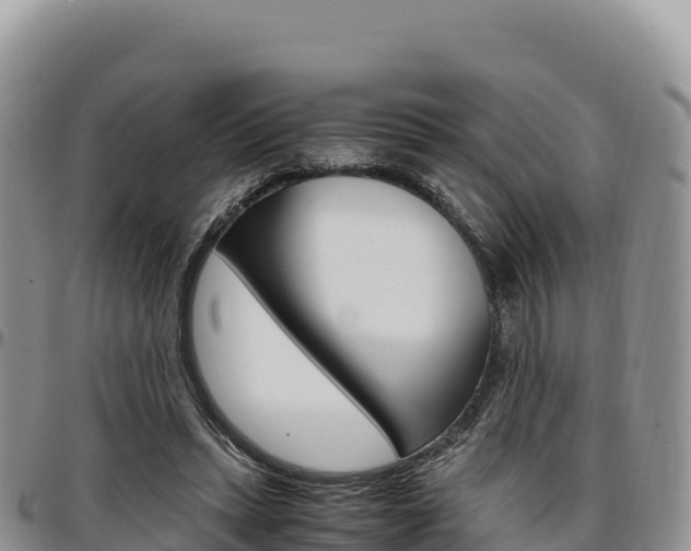 X0000097300447200802151126