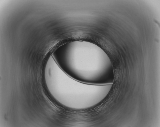 X0000097300448200802151126