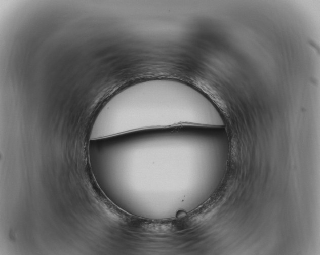 X0000097300449200802151126