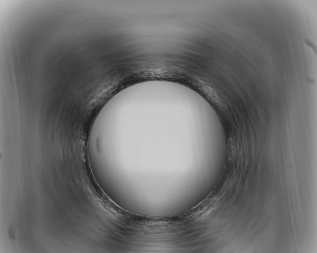 X0000097300450200802151126