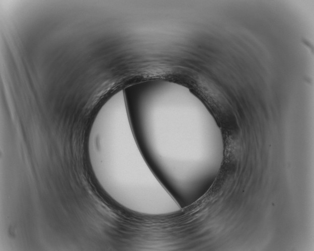 X0000097300452200802151126
