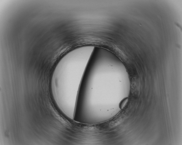 X0000097300454200802151126