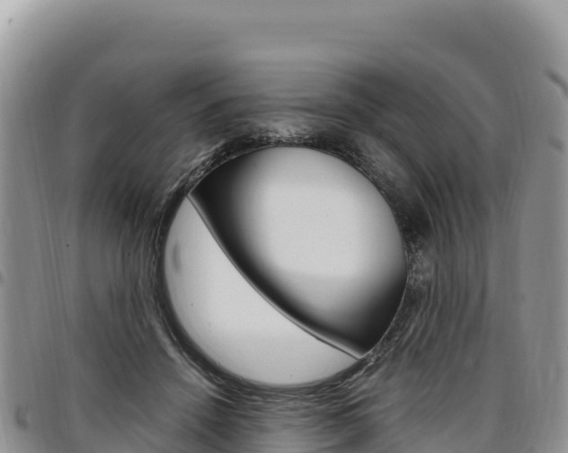 X0000097300456200802151126