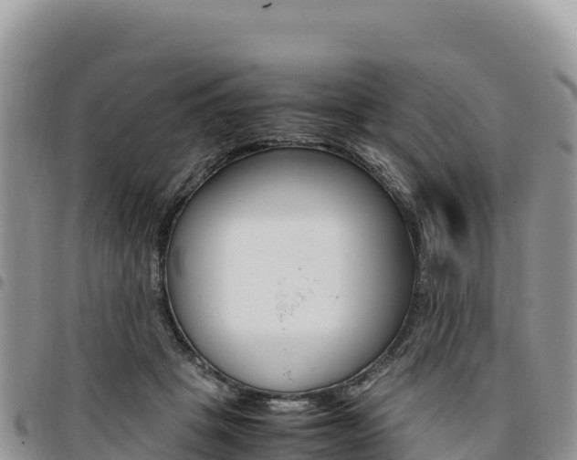 X0000097300457200802151126