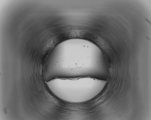 X0000097300458200802151126