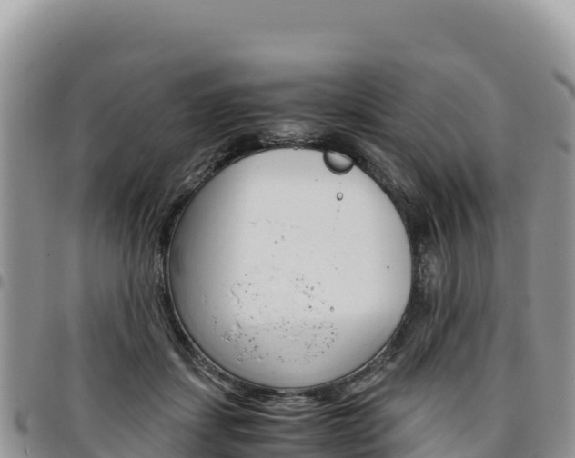 X0000097300459200802151126