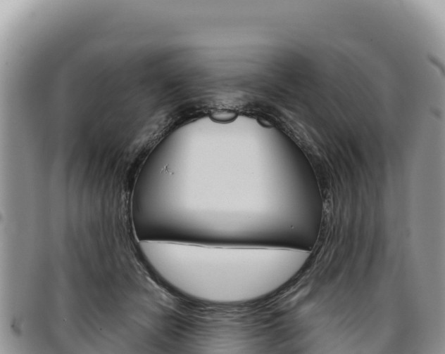 X0000097300462200802151126