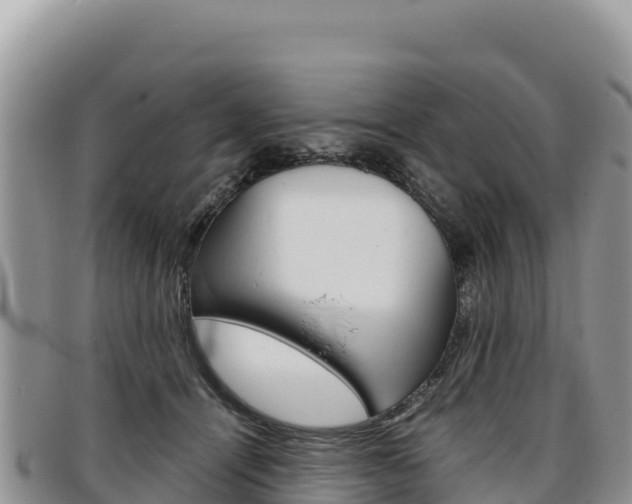 X0000097300464200802151126
