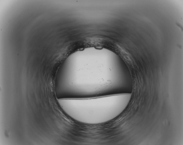 X0000097300465200802151126