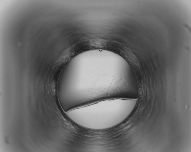X0000097300466200802151126
