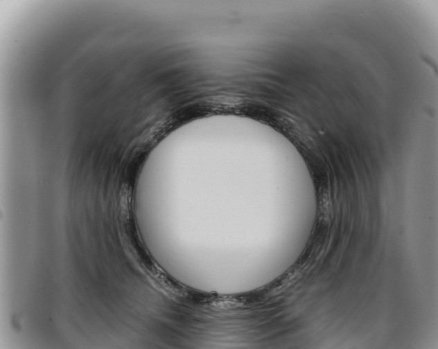X0000097300468200802151126