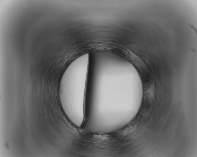 X0000097300469200802151126
