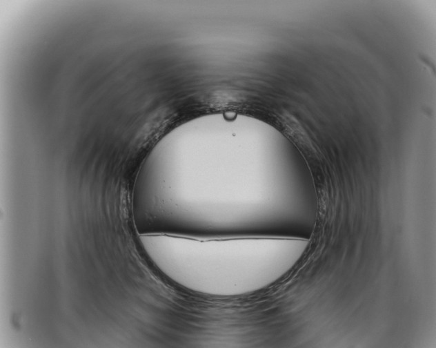 X0000097300470200802151126