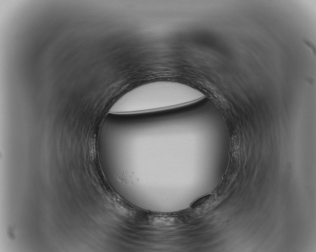 X0000097300471200802151126