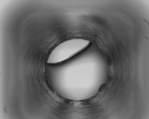 X0000097300472200802151126