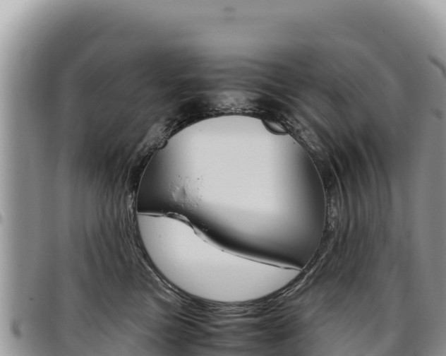 X0000097300473200802151126