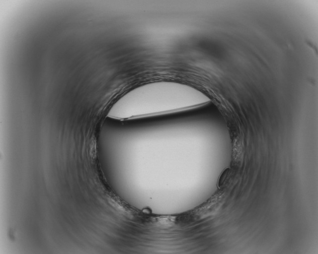 X0000097300474200802151126