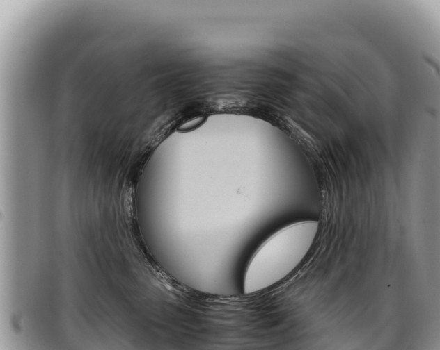 X0000097300475200802151126