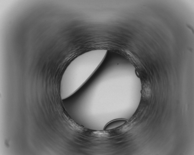 X0000097300477200802151126