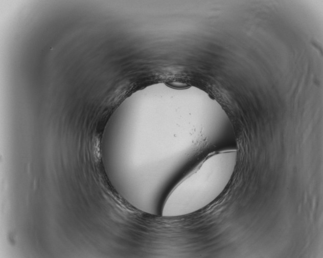 X0000097300479200802151126