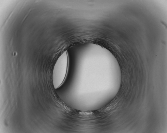 X0000097300480200802151126
