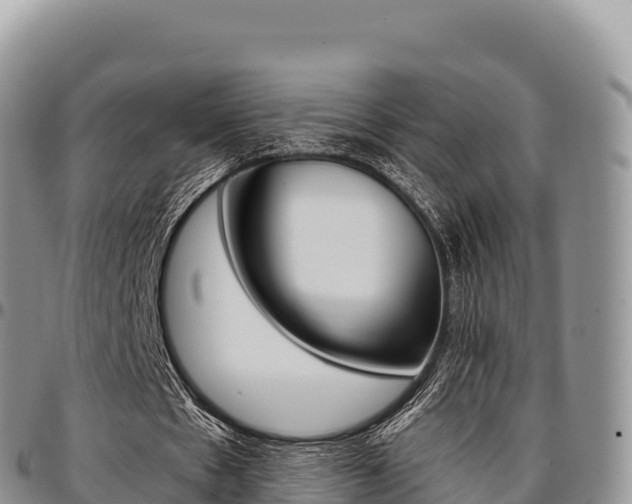 X0000097300481200802151126