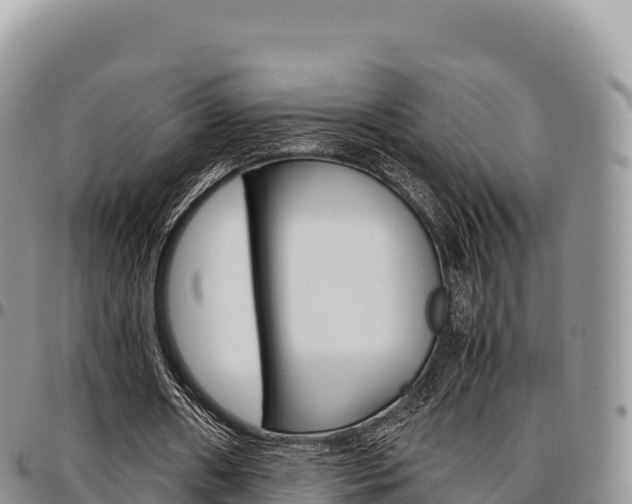 X0000097300482200802151126