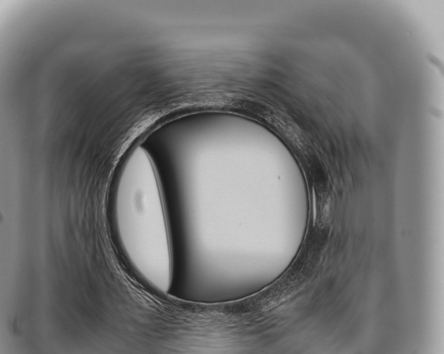 X0000097300483200802151126