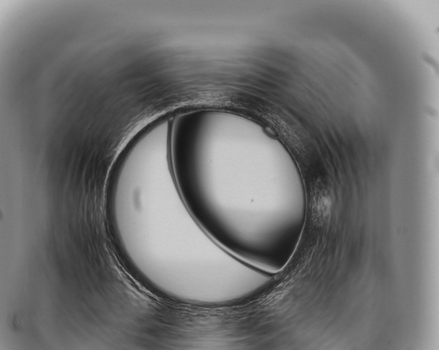 X0000097300484200802151126