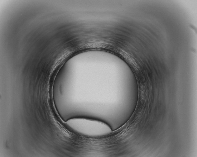 X0000097300486200802151126