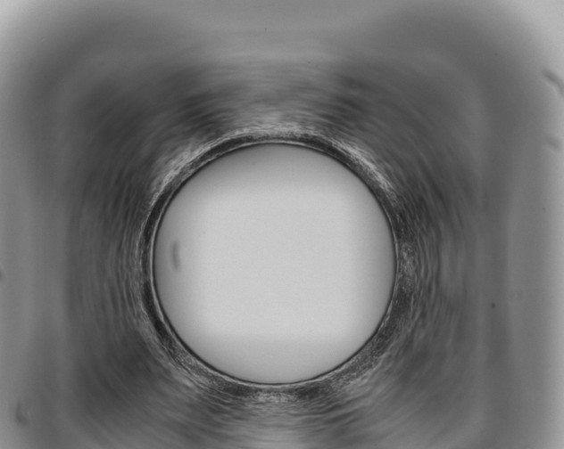 X0000097300487200802151126